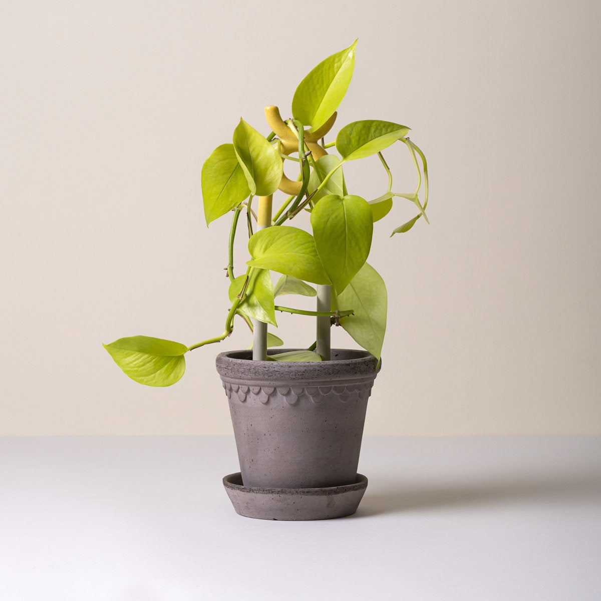 Københavner Pot RAW Grey