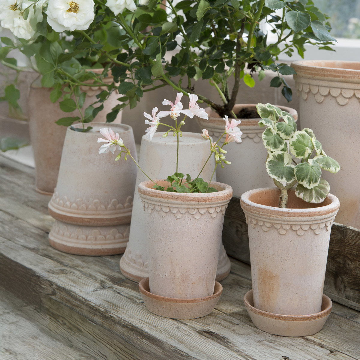 Københavner Tall Pot RAW Rosa