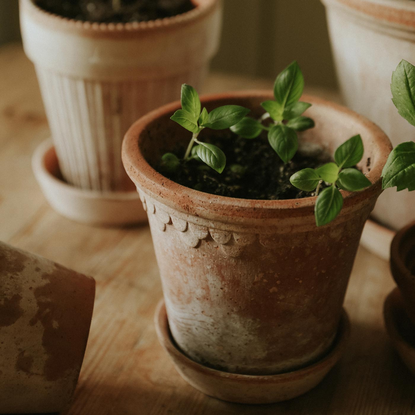 Københavner Pot RAW Rosa