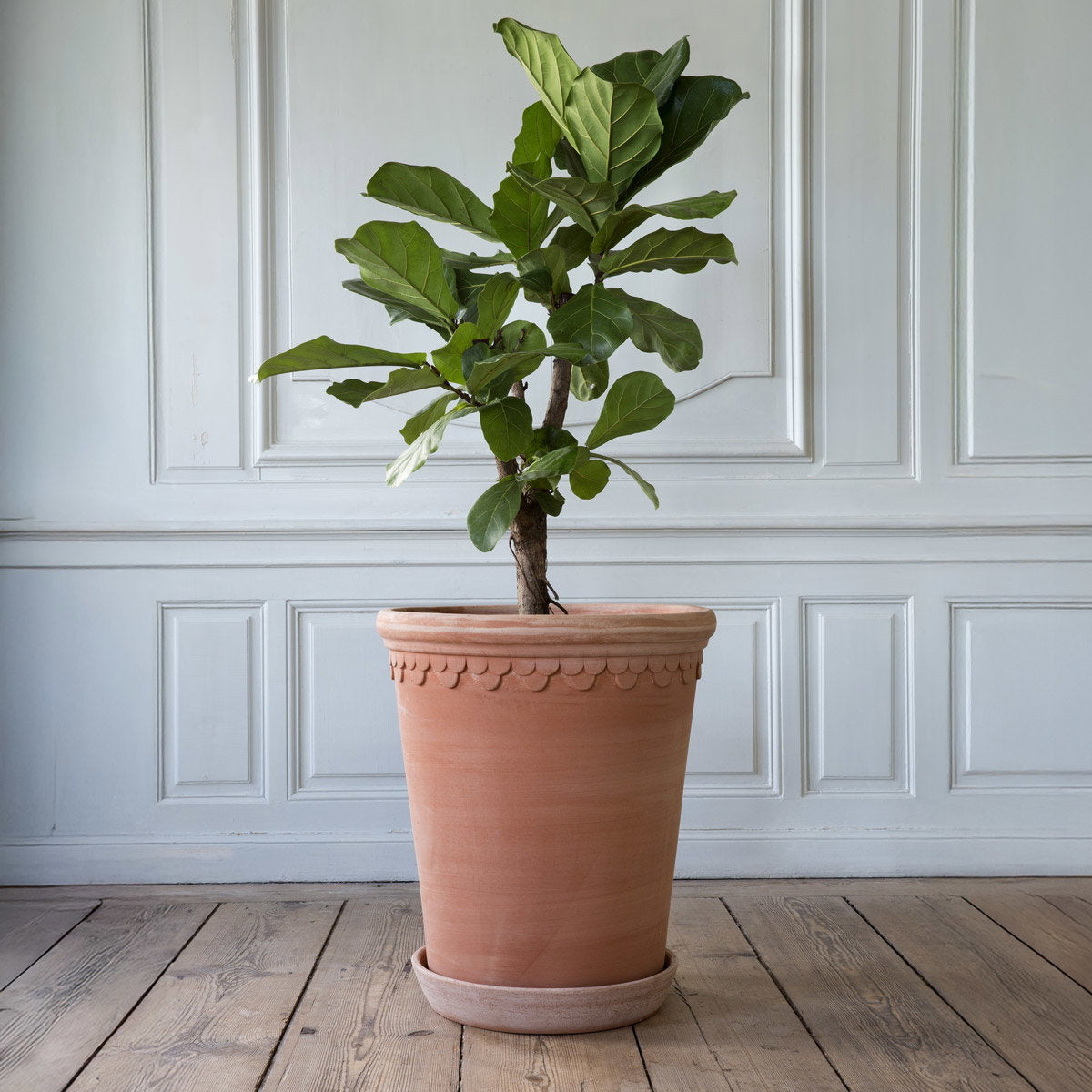 Københavner Large Tall Pot RAW Rosa
