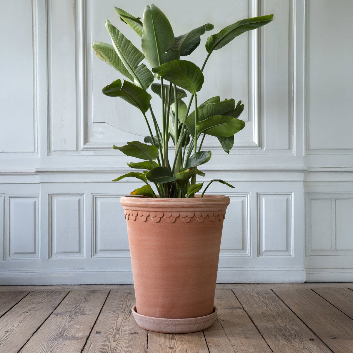 Københavner Large Tall Pot RAW Rosa