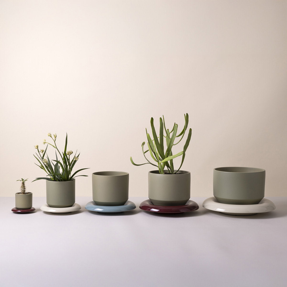 Lily Pot Sage Green
