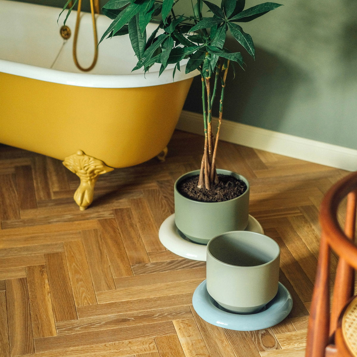 Lily Pot Sage Green