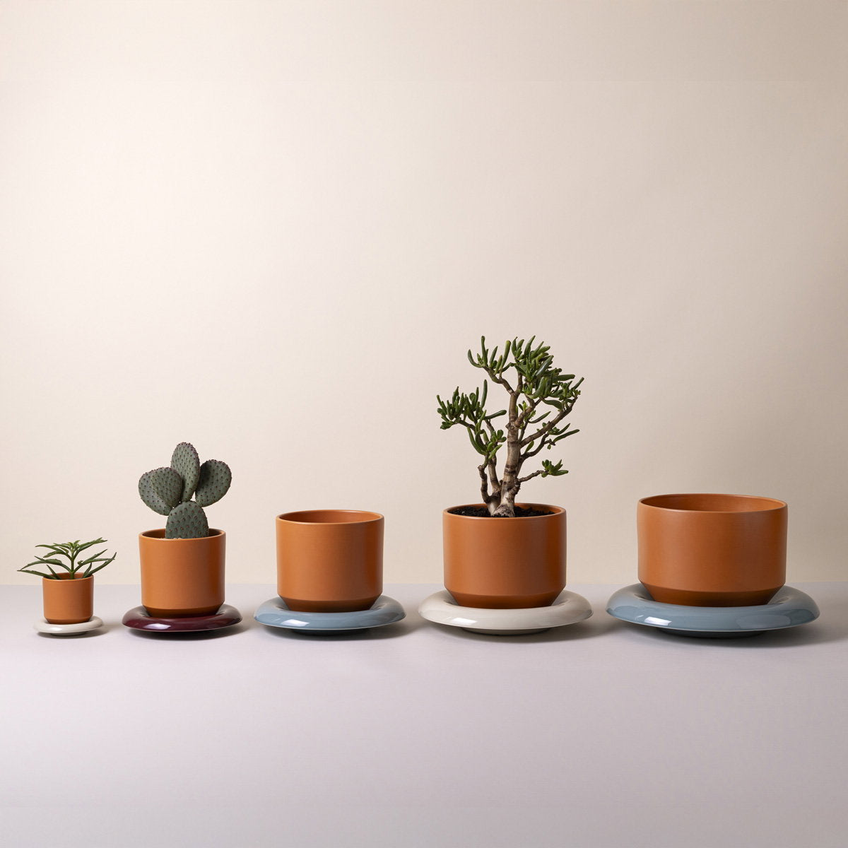 Lily Pot Tangerine Orange