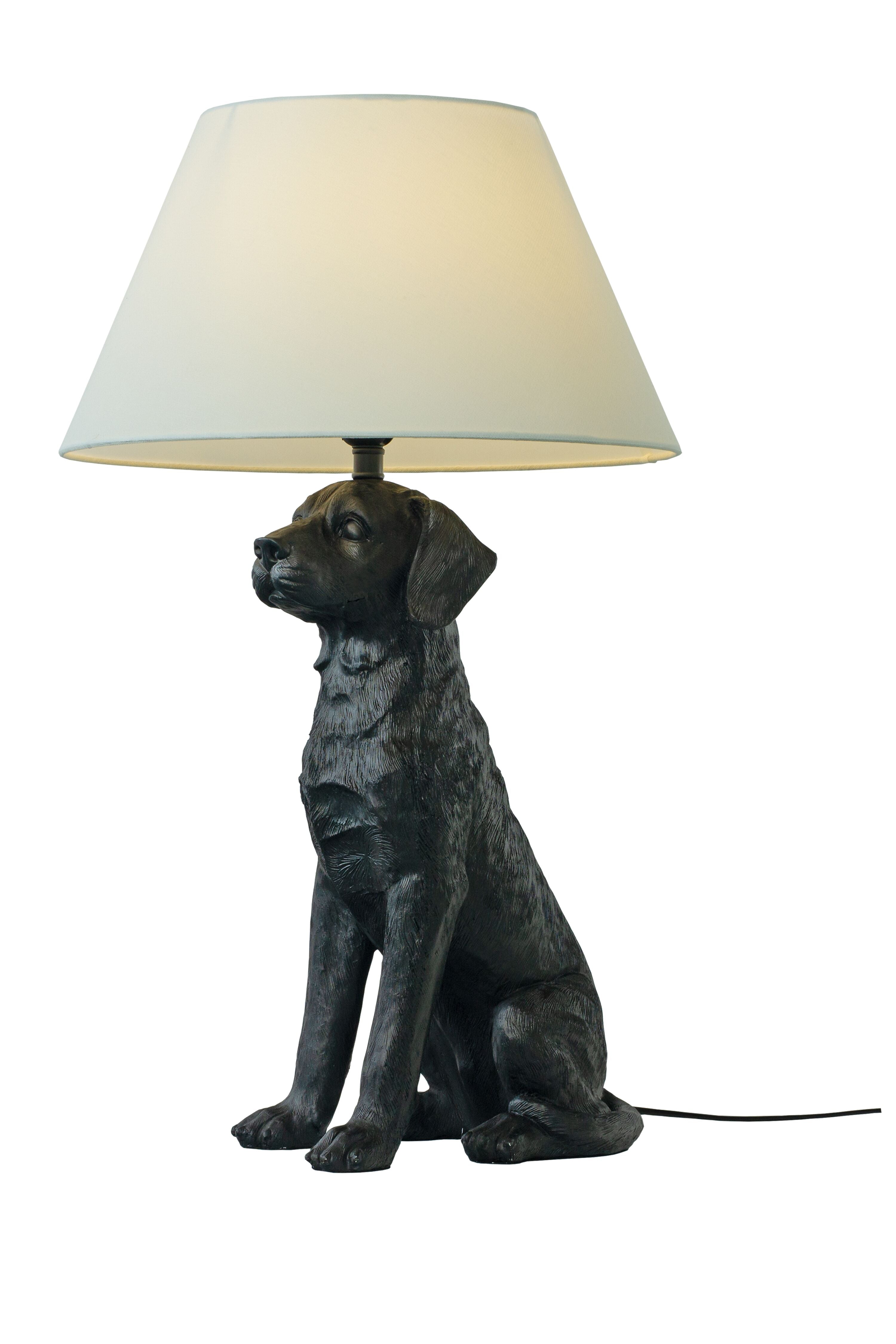 Aneta Home RETRIVER bordslampa