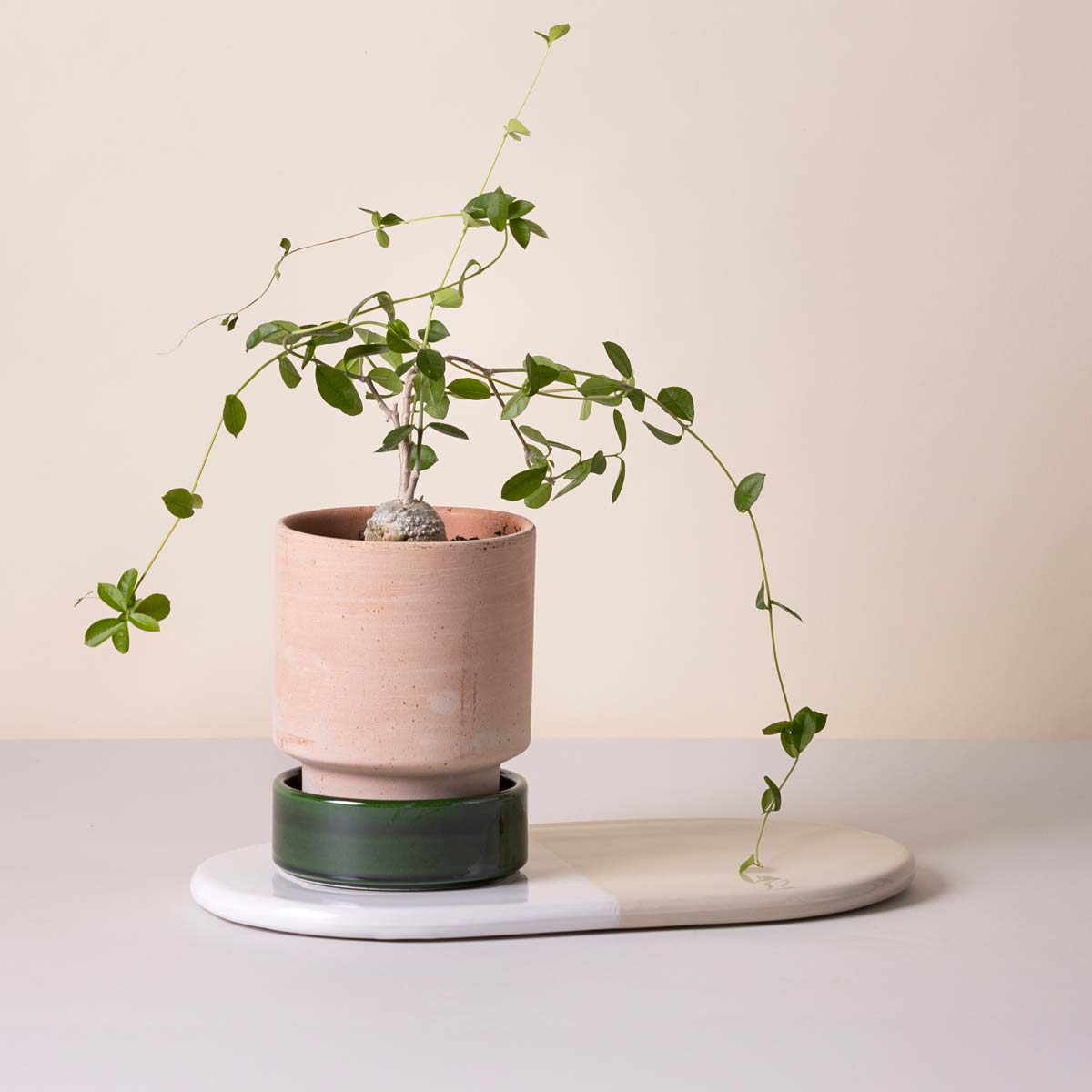 Nuna Botanical Board Mineral White Sandstone