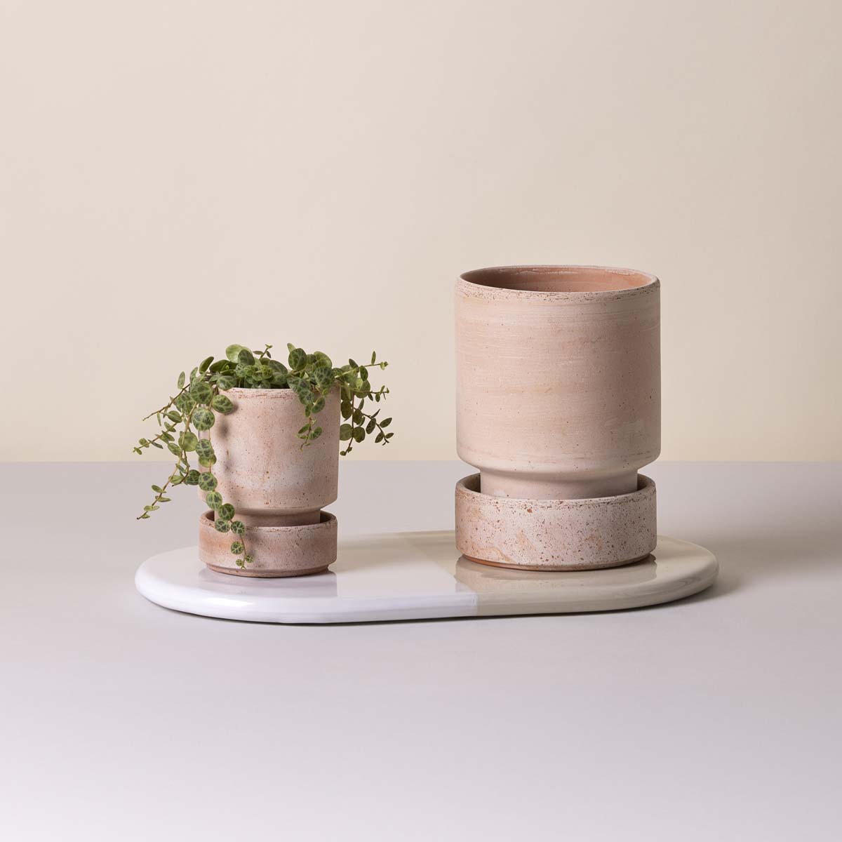 Nuna Botanical Board Capsule Mineral White Sandstone