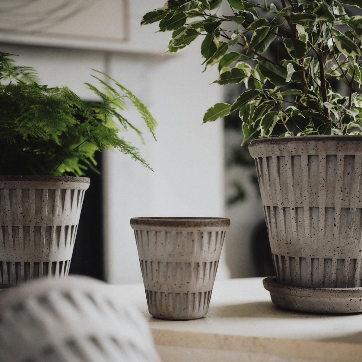 Pantheon Pot RAW Grey