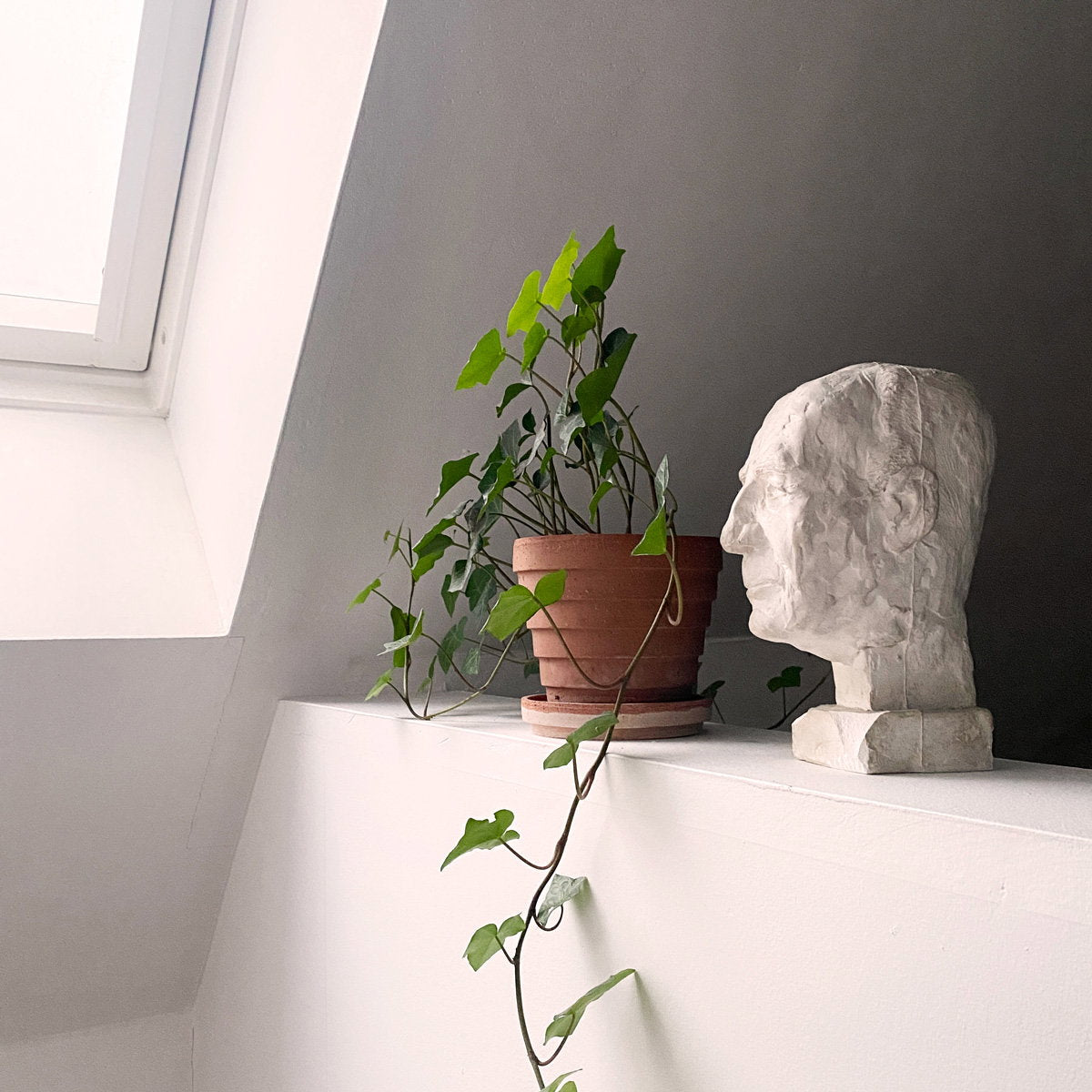 Planets Pot RAW Rosa