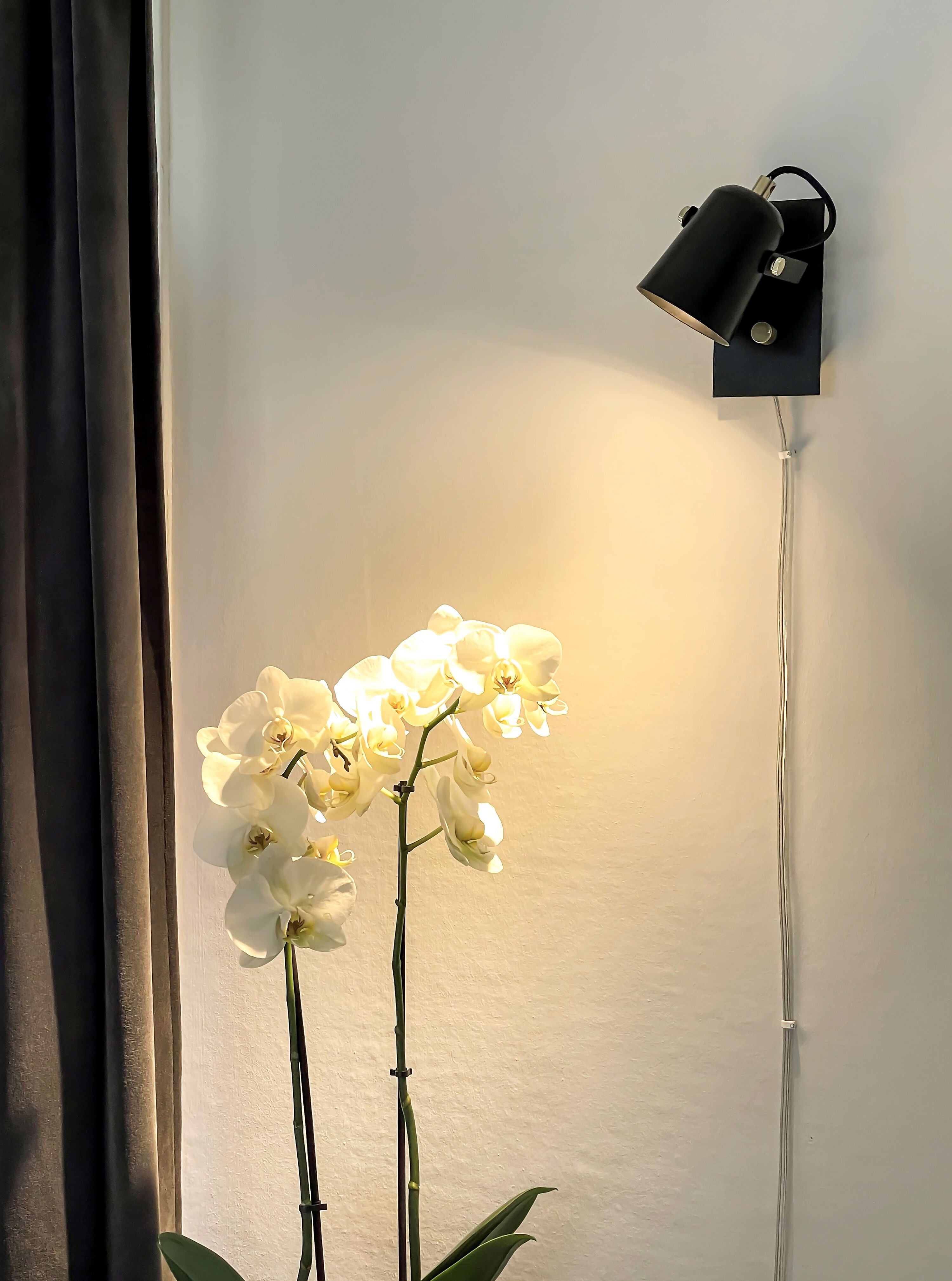 Aneta Home METZ vägglampa