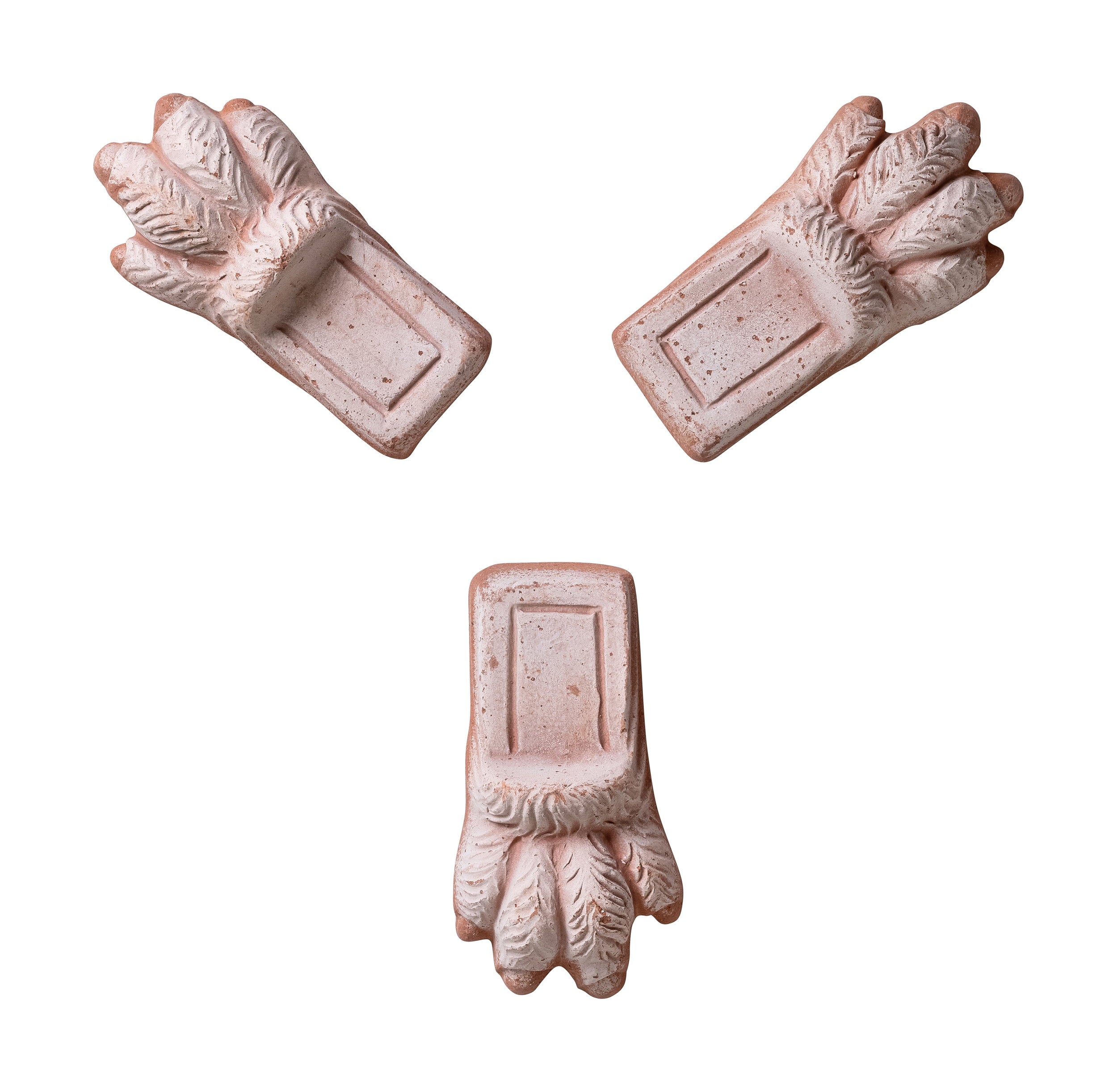 Lion paw Pot feet RAW Rosa