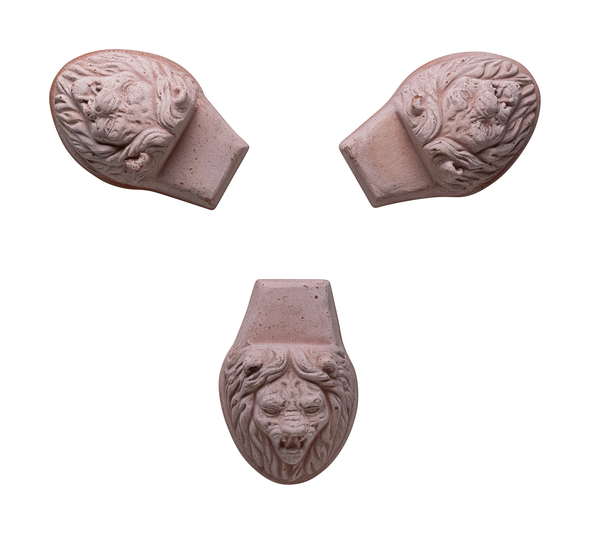 Lion head Pot feet RAW Rosa