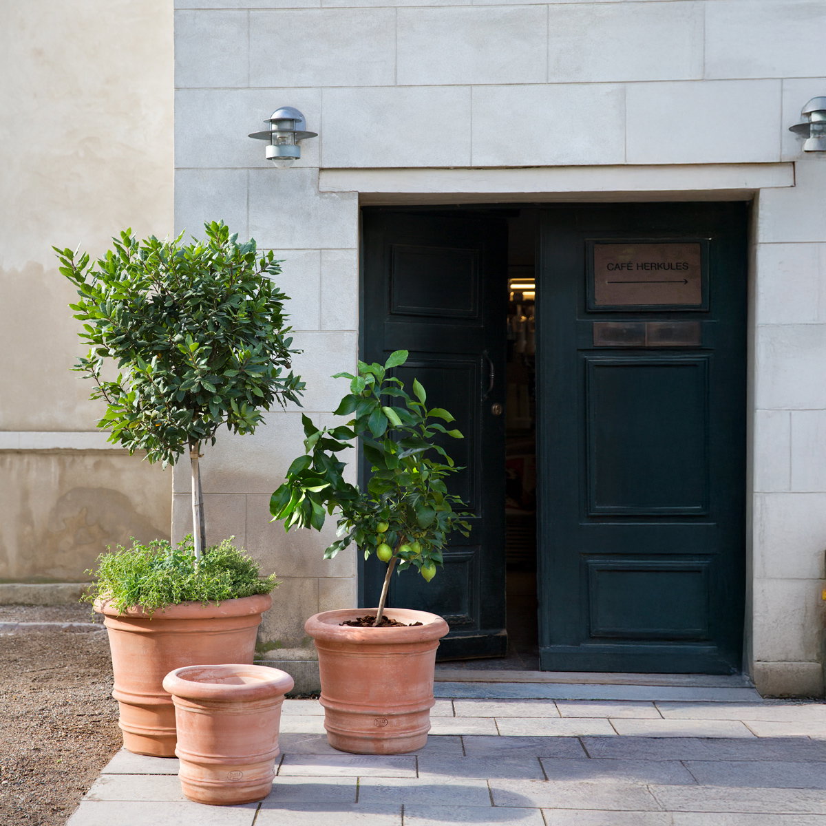 Lucca Large Pot RAW Rosa