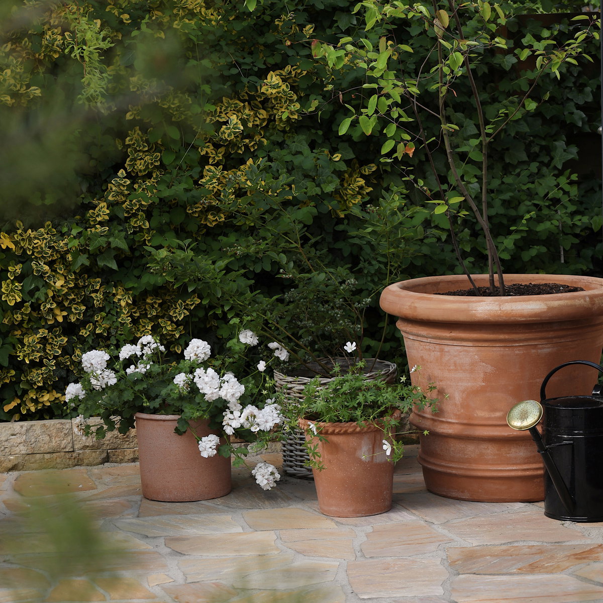 Lucca Large Pot RAW Rosa