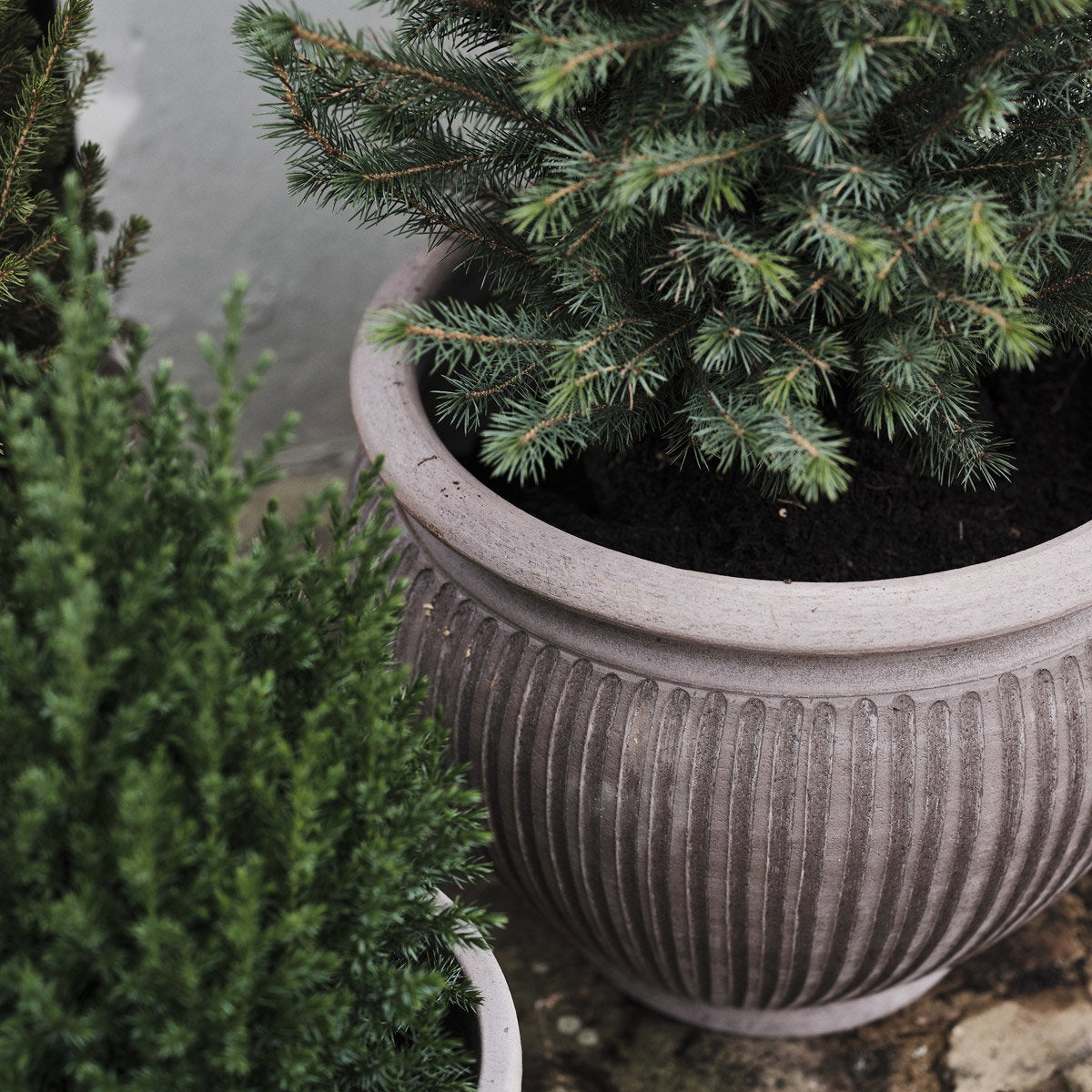 Piccolina Pot RAW Grey