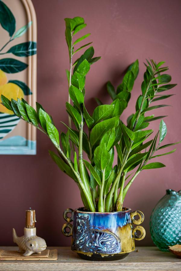Creative Collection Walton Flowerpot, Multi, Stoneware