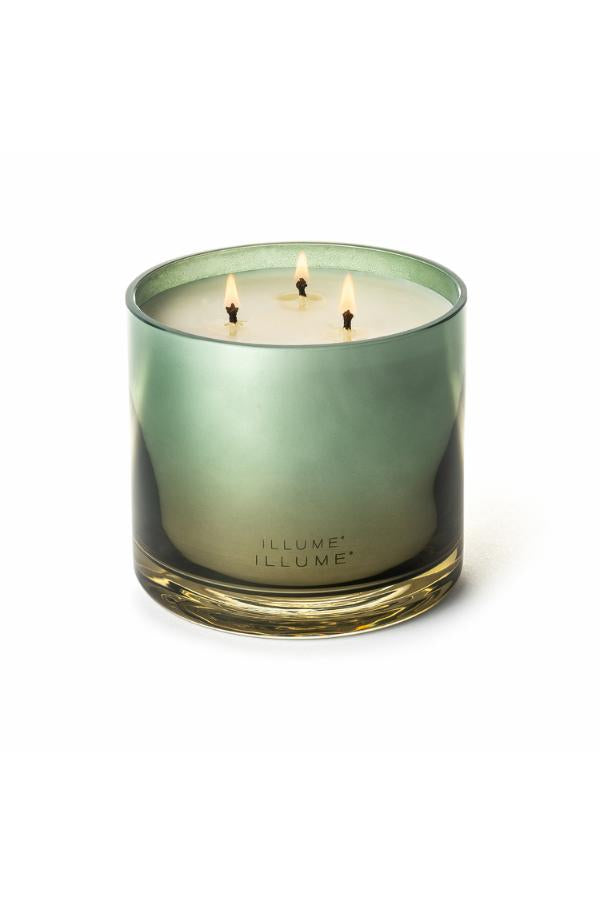 Illume Hinoki Sage Statement Glass Candle, Green,
