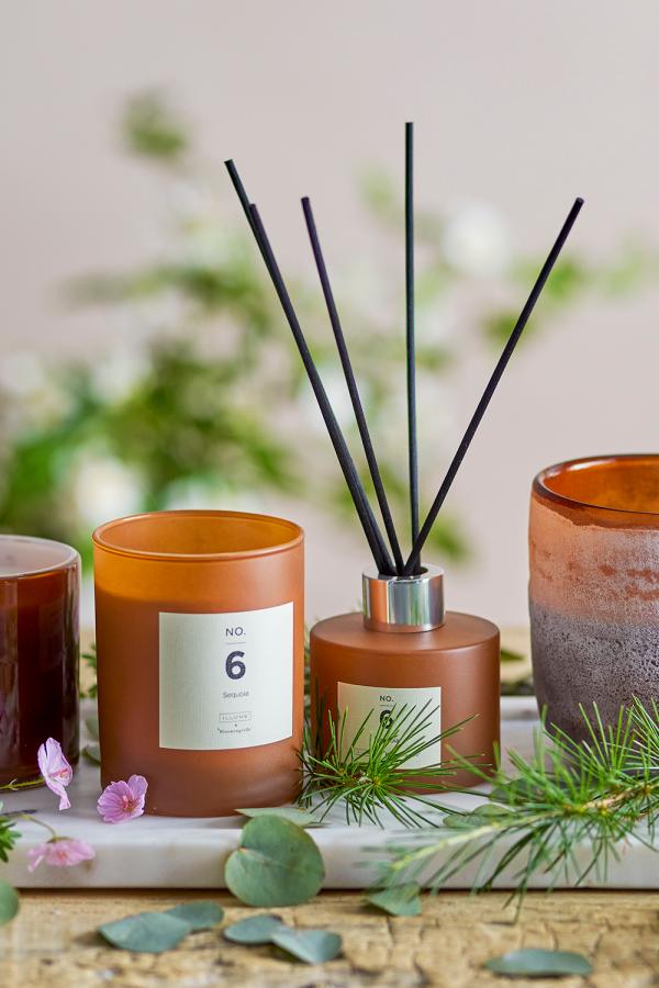 Illume X Bloomingville NO. 6 - Sequoia Scent Diffuser, Brown, Fragrance blend