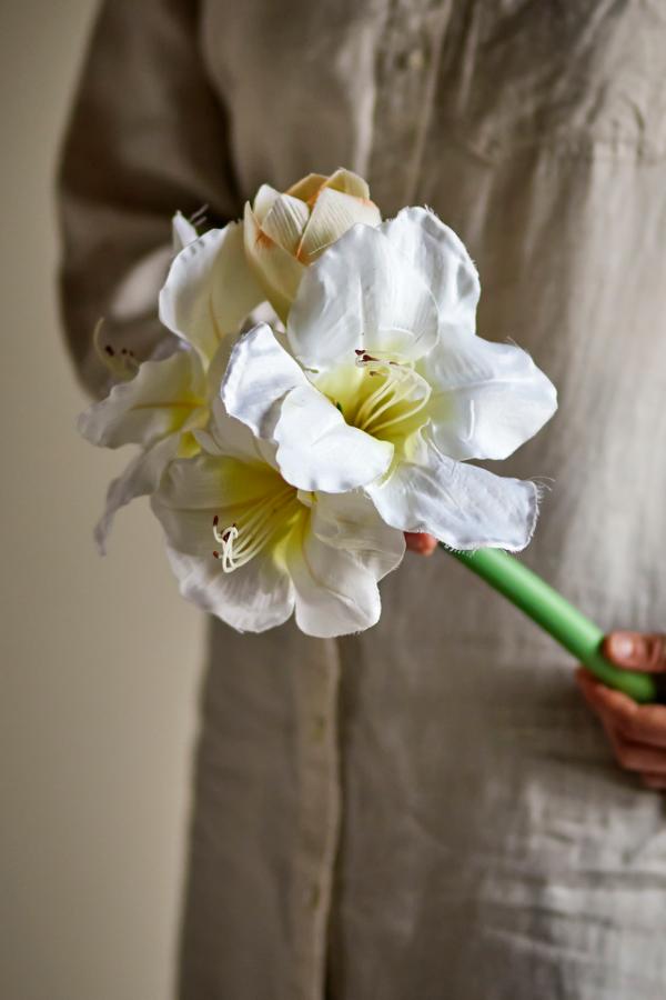 Bloomingville Amaryllis Stem, White, Artificial Flowers