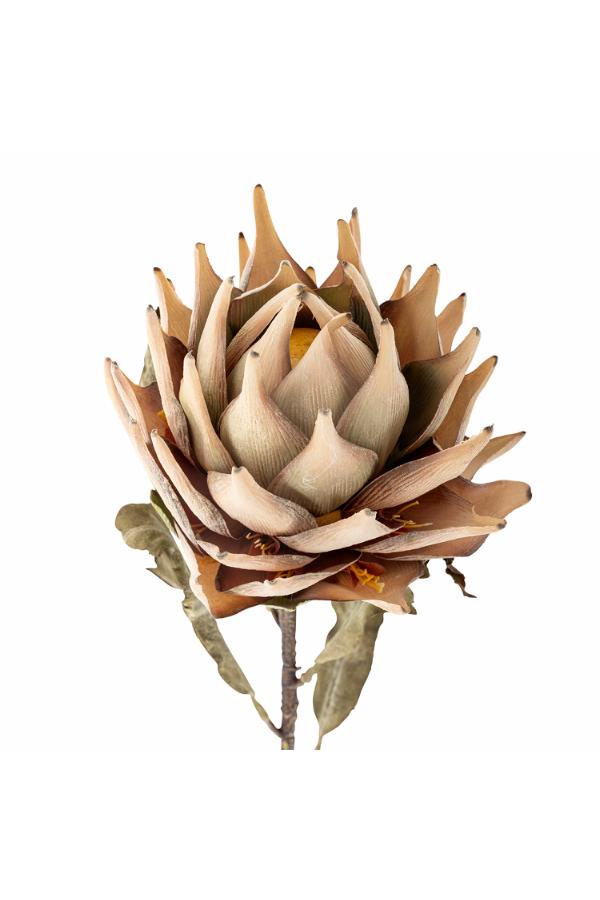 Bloomingville Protea Stem, Nature, Artificial Flowers
