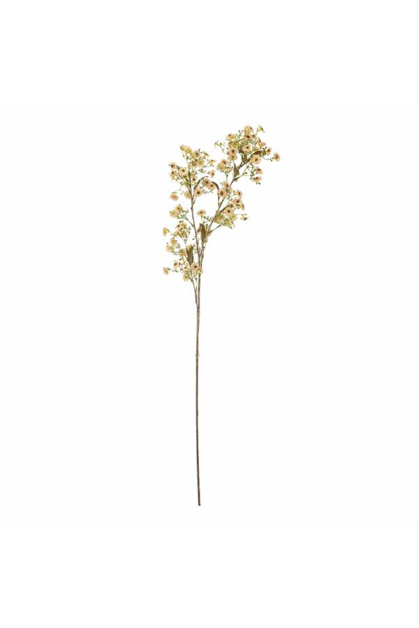 Bloomingville Waxflower Stem, White, Artificial Flowers