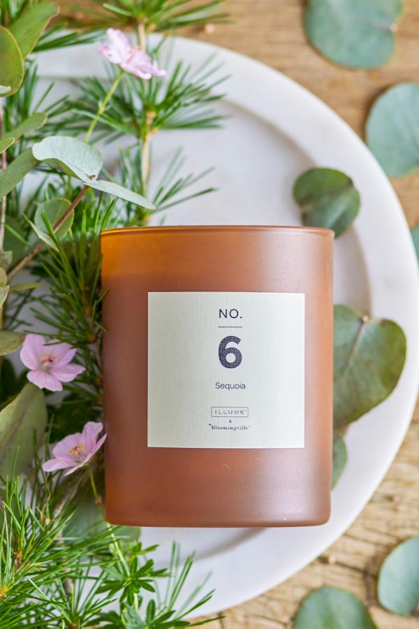 Illume X Bloomingville NO. 6 - Sequoia Scented Candle, Brown, Natural Wax