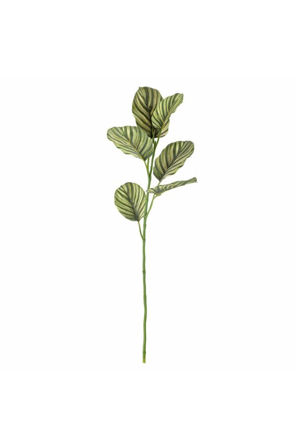 Bloomingville Zebra Stem, Green, Artificial Flowers