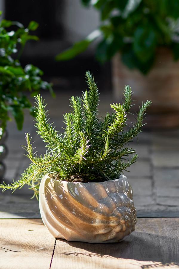 Bloomingville Corelia Flowerpot, Brown, Stoneware