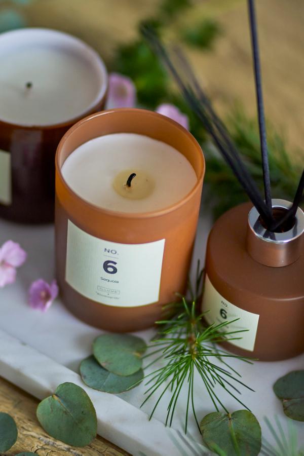 Illume X Bloomingville NO. 6 - Sequoia Scent Diffuser, Brown, Fragrance blend