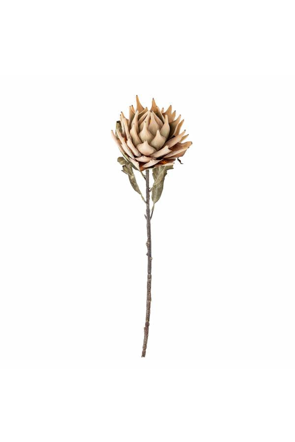 Bloomingville Protea Stem, Nature, Artificial Flowers