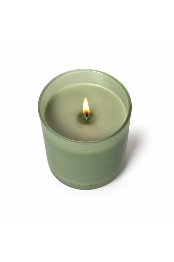 Illume Hinoki Sage Box Glass Candle, Green,