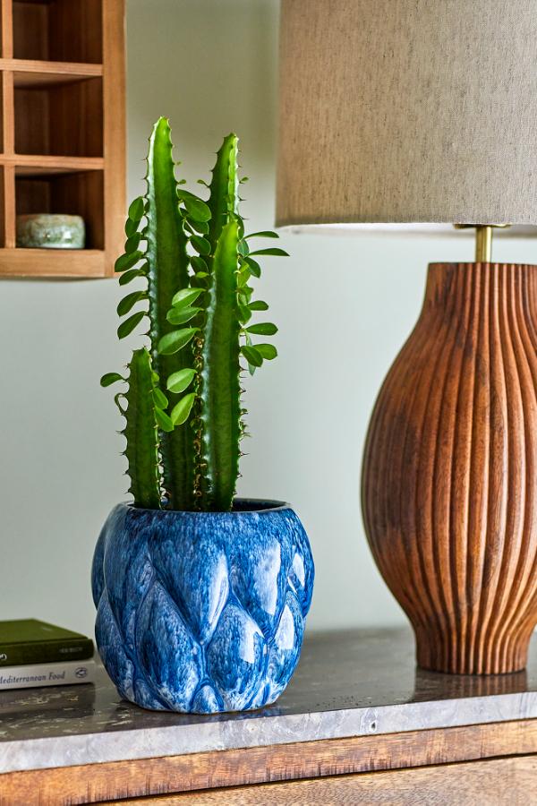 Creative Collection Posey Flowerpot, Blue, Stoneware