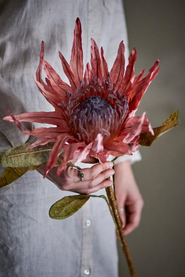 Bloomingville Protea Stem, Rose, Artificial Flowers