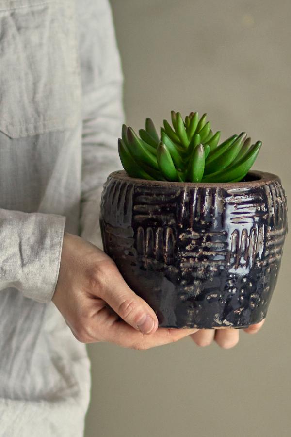 Bloomingville Echeveria Plant, Green, Artificial Flowers