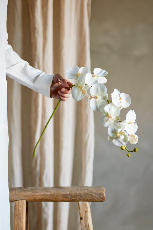 Bloomingville Orchid Stem, White, Artificial Flowers