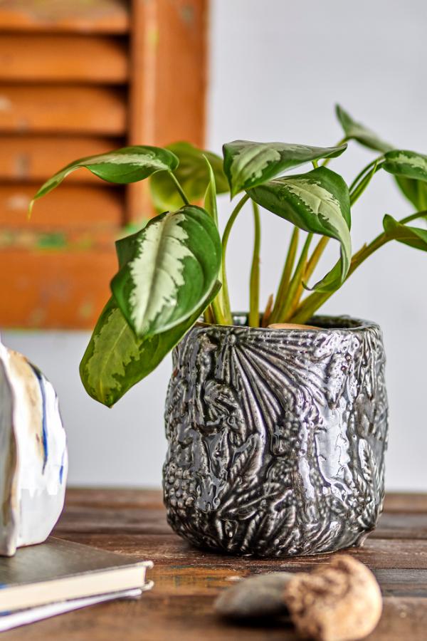 Creative Collection Nikou Deco Flowerpot, Black, Terracotta