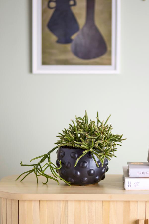 Bloomingville Parvin Deco Flowerpot, Black, Terracotta