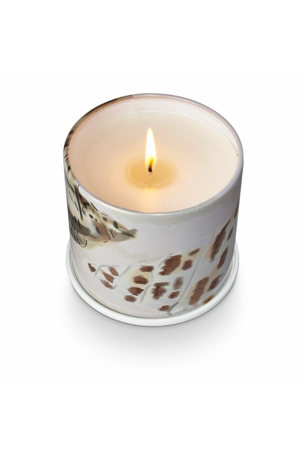 Illume Driftwood Vanity Tin Candle, White,