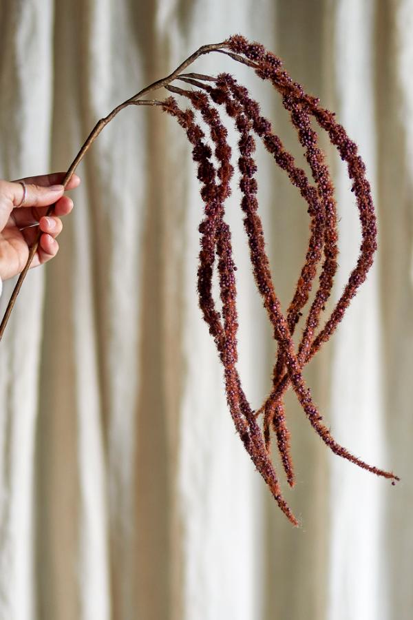 Bloomingville Foxtail Stem, Brown, Artificial Flowers
