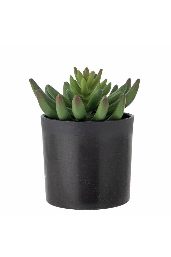 Bloomingville Echeveria Plant, Green, Artificial Flowers