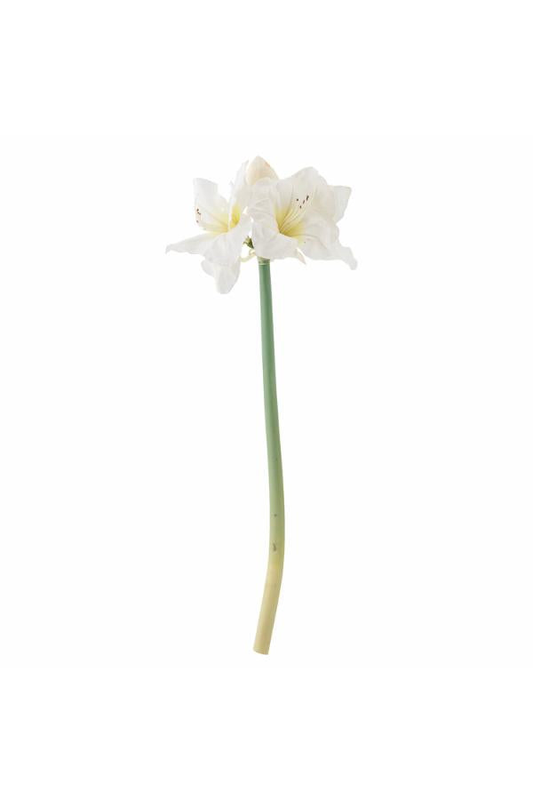 Bloomingville Amaryllis Stem, White, Artificial Flowers