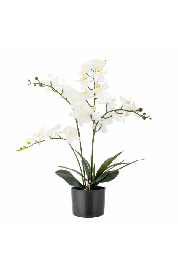 Bloomingville Orchid Plant, White, Artificial Flowers
