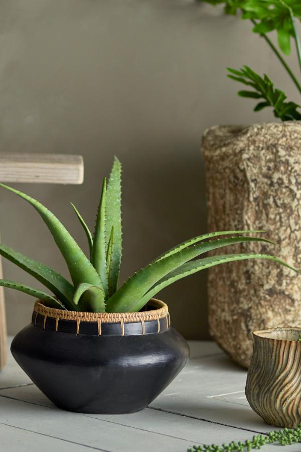 Bloomingville Aloe Plant, Green, Artificial Flowers