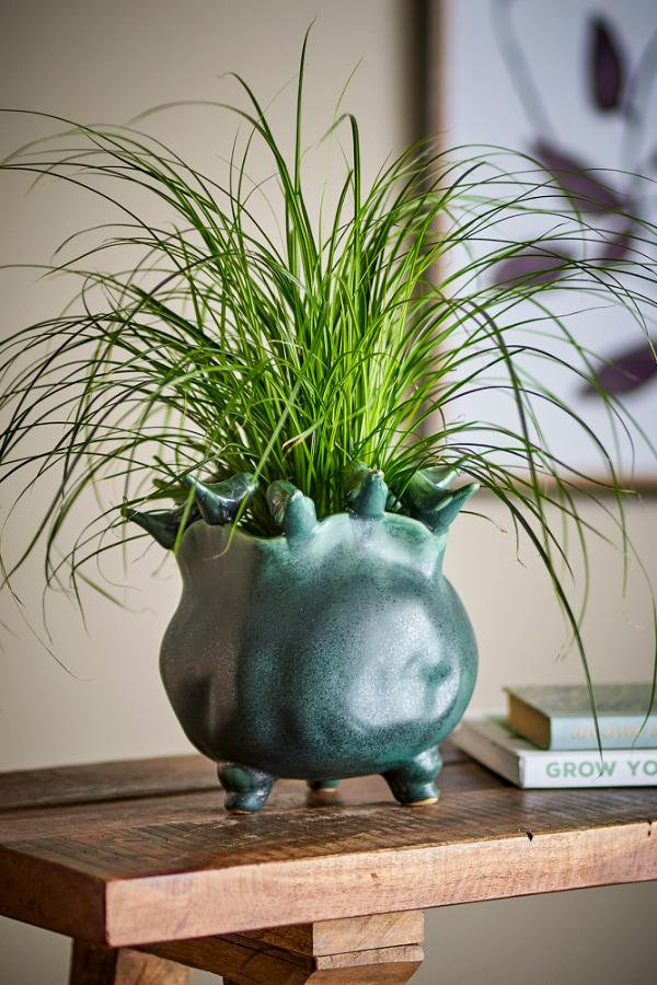 Creative Collection Charlize Flowerpot, Green, Stoneware