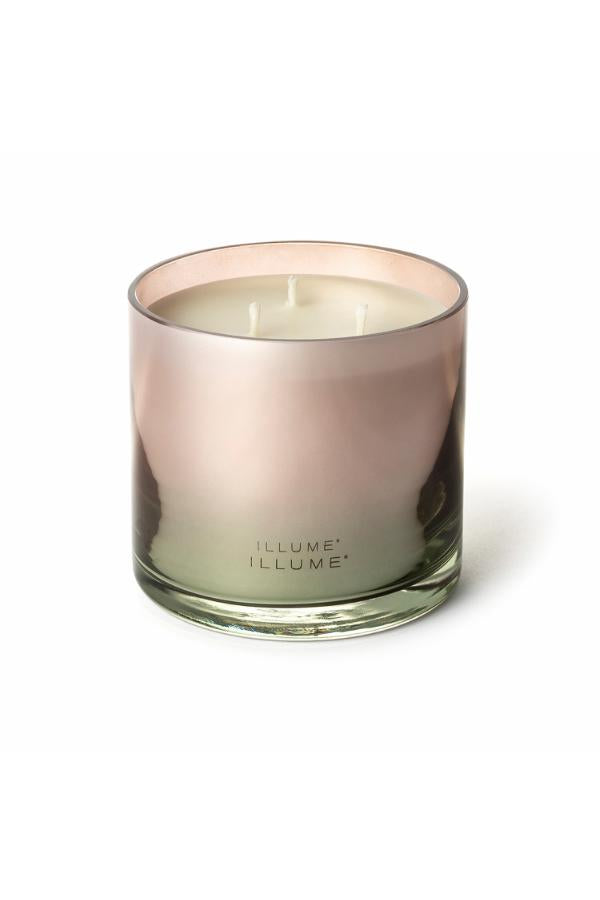 Illume Coconut Milk Mango Statement Glass Candle, Rose,
