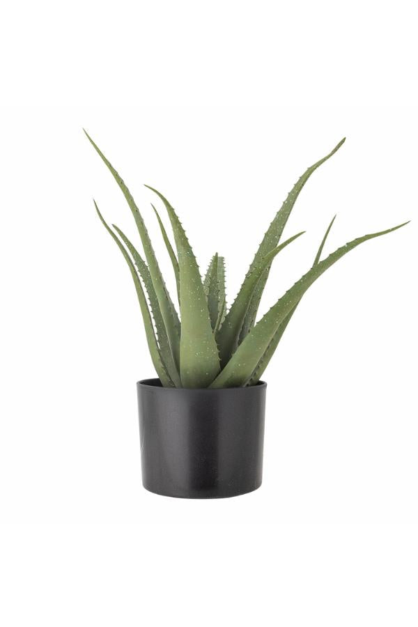 Bloomingville Aloe Plant, Green, Artificial Flowers