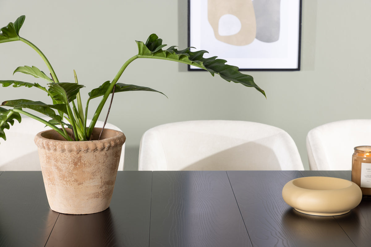 Venture Design Day & Astrid Matstolar 2-pack Off-white + Rektangulära Matbord 200 x 90 Svart
