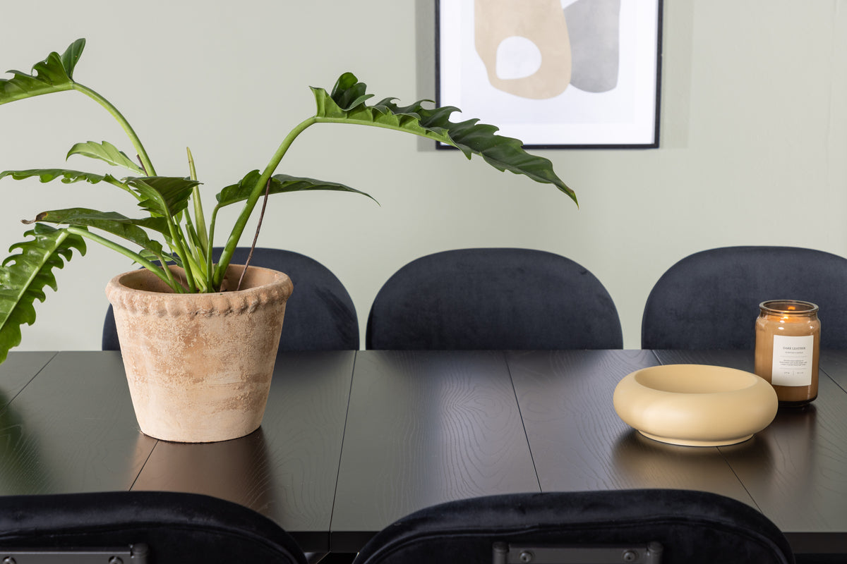 Venture Design Stella & Astrid Matstolar 2-pack Svart + Rektangulära Matbord 200 x 90 Svart