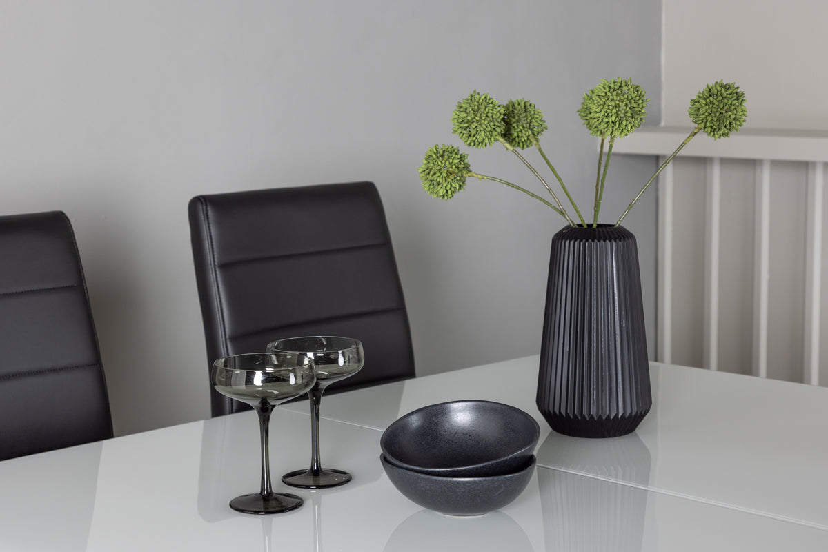 Venture Design Tempo & Pluto Matstolar 2-pack Svart + Rektangulära Matbord 120 x 90 Vit