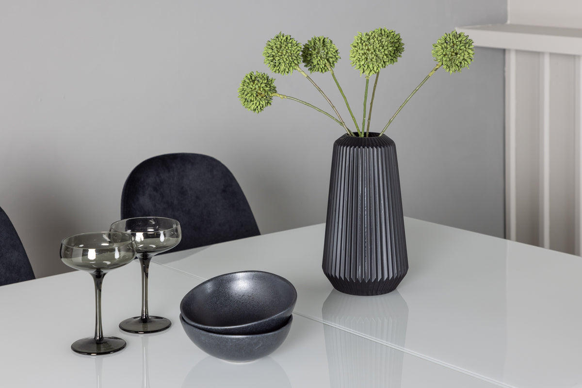 Venture Design Pluto & Polar Rektangulära Matbord 120 x 90 Vit + Matstolar 2-pack Svart